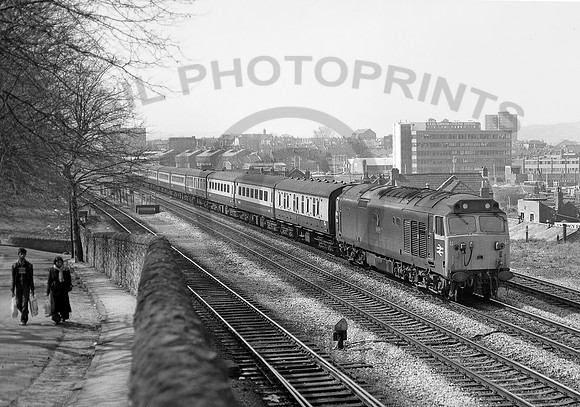 50050-Bedminster-120480-JC163