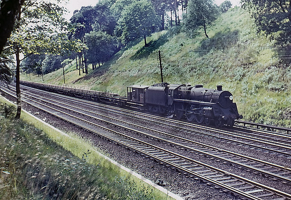 73115-Y-Woking-0666-BR584