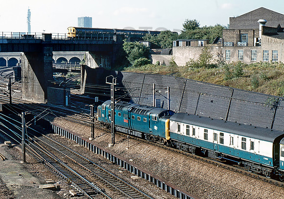 55017-Y-BelleIsle-220979-PB817