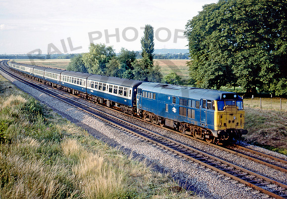 31284-X-250779-Radley-250779-DCC639