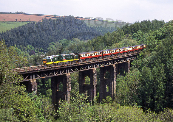 D9000-Y-Largin-150599-JC135