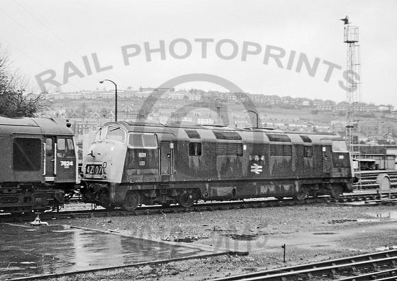 821 Laira 1171 JM191