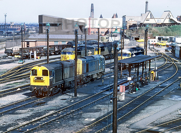 Leicester TMD 050487 BR016