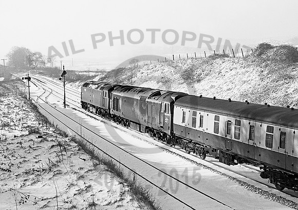 47008-50020-Y-Whiteball-010179-JC335