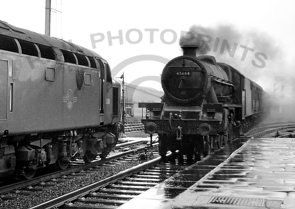 45664-D268-X-Tebay-0462-RPC097