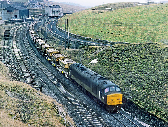 45070 Peak Forest 100386 BR180