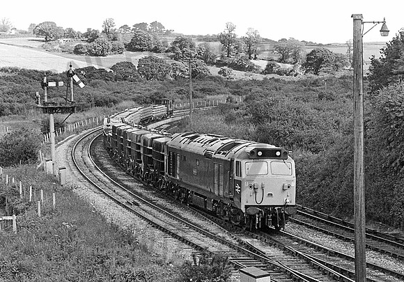 50037-Y-Par-290679-JC434