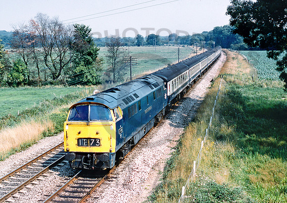 1001-Y-Midgham-0875-RPC333