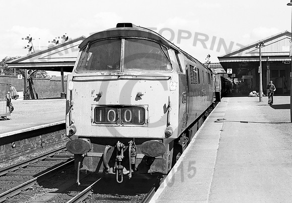 1001-Y-NewtonAbbot-310776-RPC095