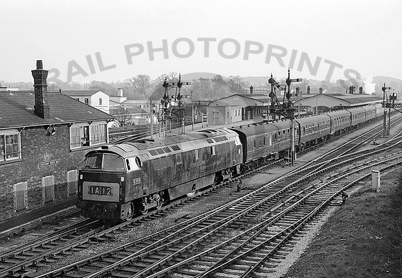 D1019-Y-Westbury-0463-RPC658