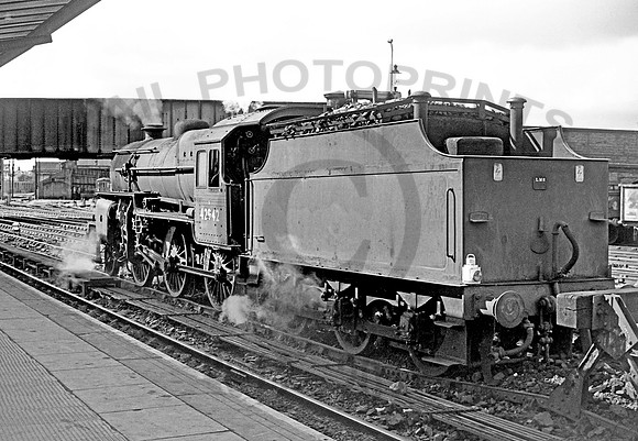42942 Chester 290866 SDW213_edited-1