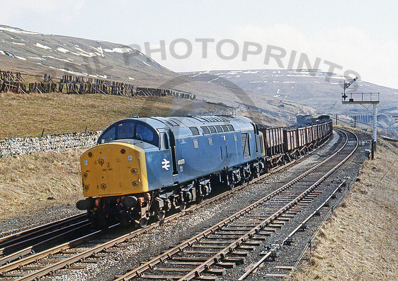 40073-Y-Dent-020380-CW001