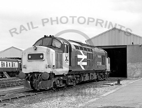 37260-FortWilliam-250686-JC446