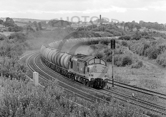 37144-Y-Greenhill-100882-JC285