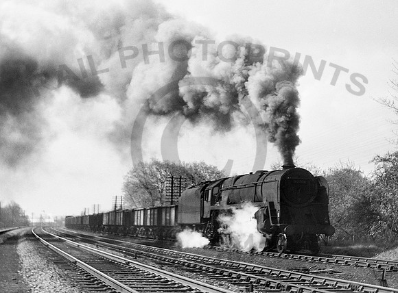 92174-Y-Derby-0463-RPC112
