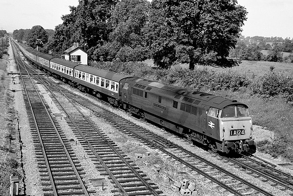 D1038-Y-Fairwood-120769-HB772