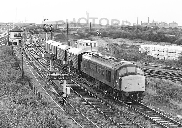 45004-Y-HallenMarsh-241184-JC67