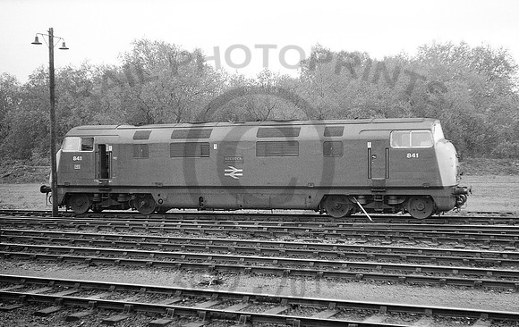 841-Exeter-150571-DM098