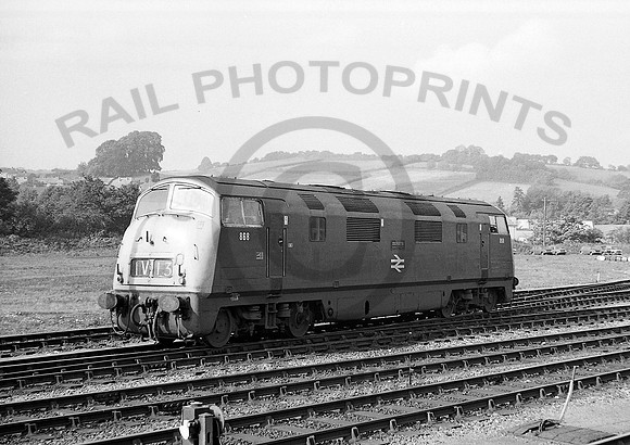 868-Y-ExeterSP-011071-DM366