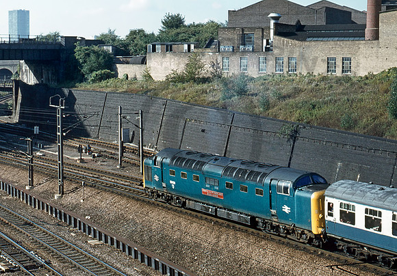 55021-Y-BelleIsle-220979-PB821