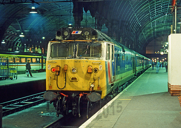 50026-Y-Paddington-100290-JC648