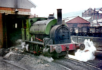 Sir John  -  Mountain Ash 0270 JC451