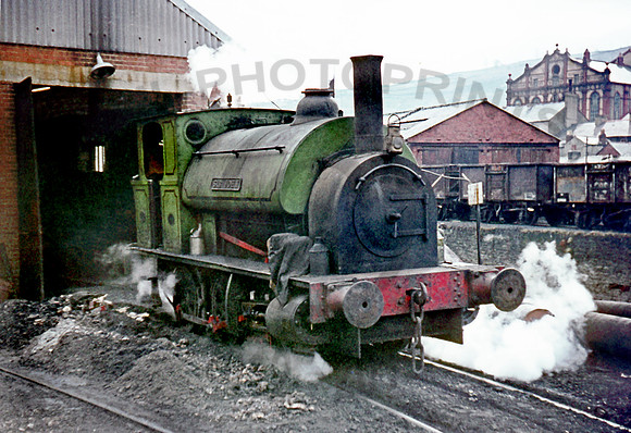 Sir John  -  Mountain Ash 0270 JC451
