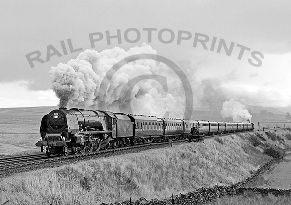 46251 Shap Wells 051063 HB533