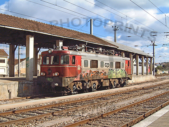 CP2560 Pamphilosa-020203-JC737