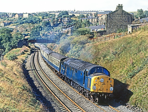 40046-Y-Greenfield-120981-JC169