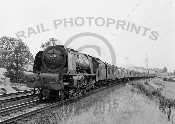 46220-Y-ScoutGreen-0653-RPC672
