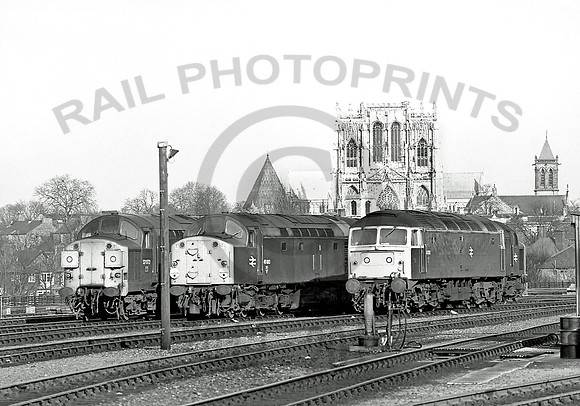 40083-YorkSP-060480-JC990