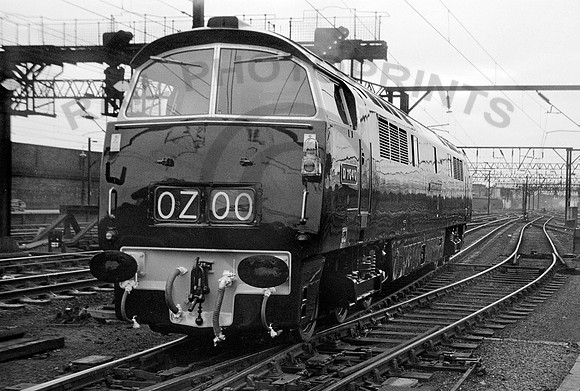 D1040-Y-Crewe-0962-CW490