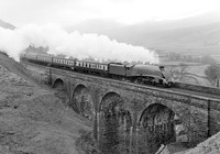 4498-Y-AisGill-0280-HB977
