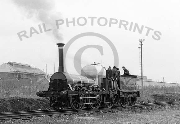 Lion-WiganPW-240380-HB978