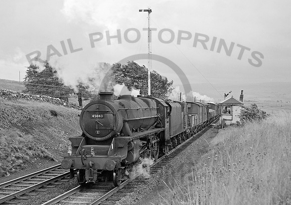 45043 Scout Green 110862 HB068