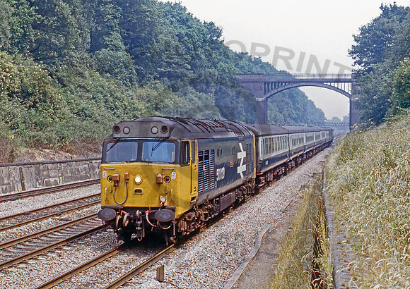 50029-Y-Sonning-090783-PB952
