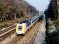 252001 Sonning Cutting 0376 JV569