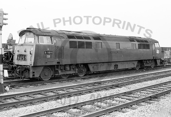 1011-Y-Gloucester-170675-RPC189
