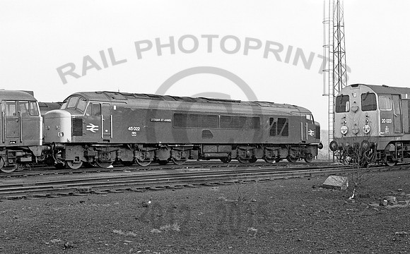 45022-Tinsley-080178-JC1