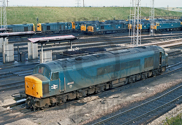 45020 Tinsley 050483 RPR607