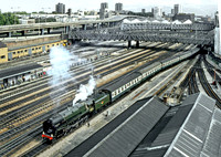 92220-Royal-Oak-200981_GE047-1