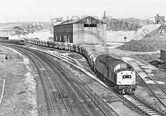 40155-Y-PeakForest-230382-031281-JC558