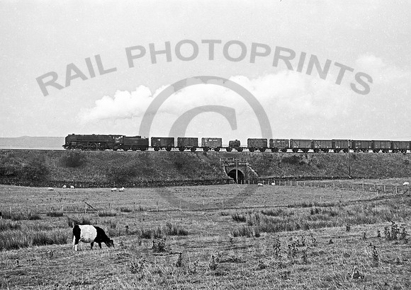 70017 Shap Wells 240965  HB65U628