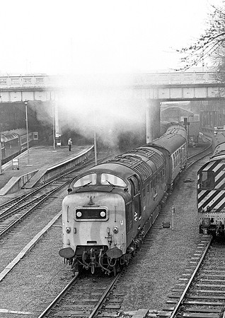 55008-Waverley-110481-JC773