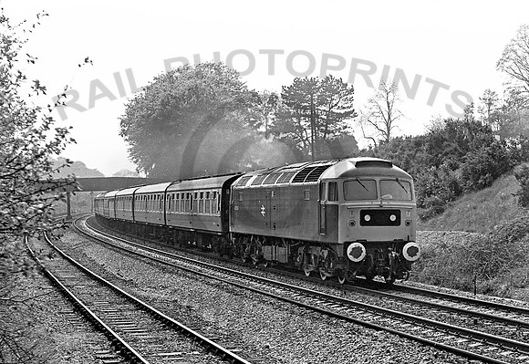 47254-Whiteball-200578-JC1