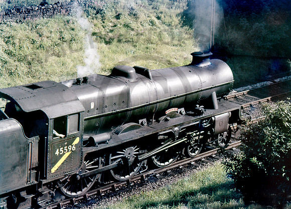 45596-Y-DisleyGoods-0764-AHB519