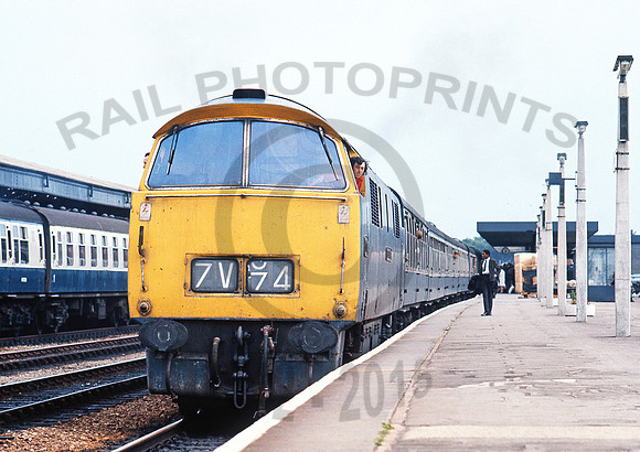 D1027-Y-Oxford-120774-RPC290