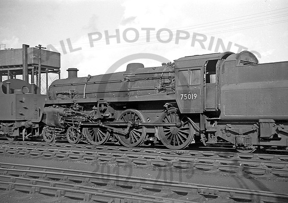 75019-Y-Kingmoor-260367-JC394