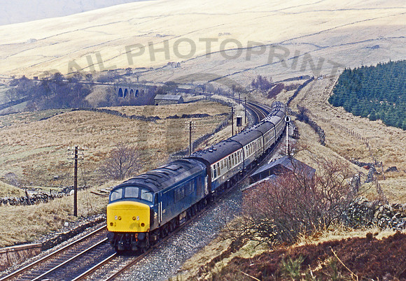 45125 Dent Head 240382 JC073
